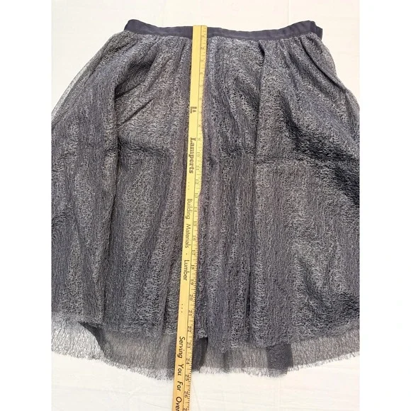 Isaac Mizrahi For Target Skirt Womens 4 Gray Metallic Tutu Knee‎ Length Lined - Picture 3 of 7